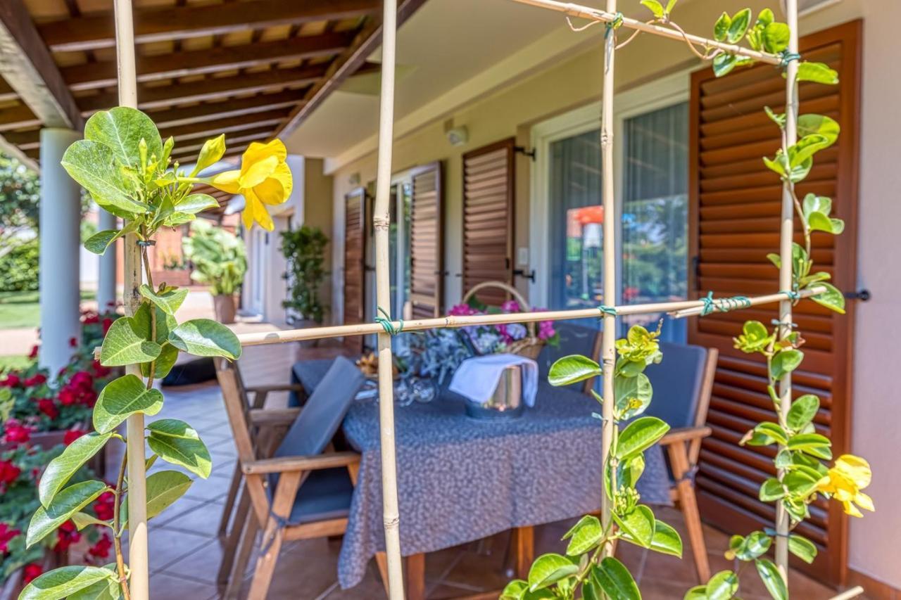 Apartment Complex Irena With Pool Porec Bagian luar foto